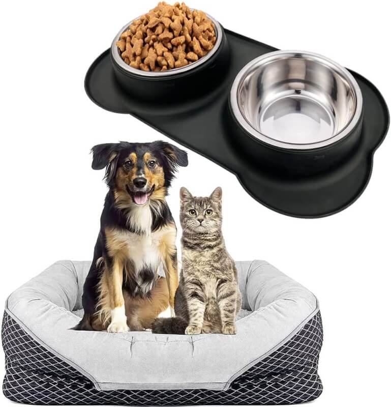 large dog dish review