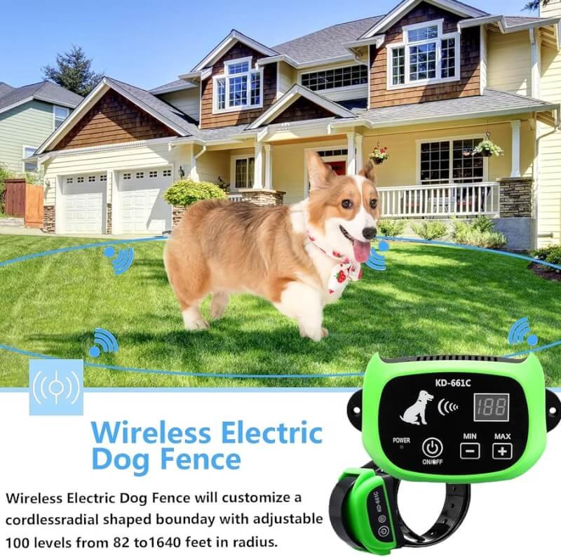 sxddhzx wireless dog fence electric training collar 2 in 1 review