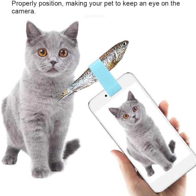 zerodis pet selfie clip tool review